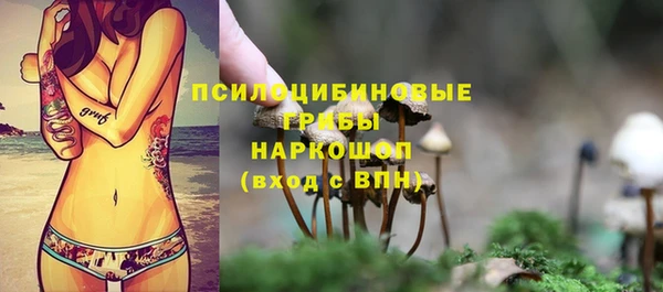 прущие крисы Арсеньев