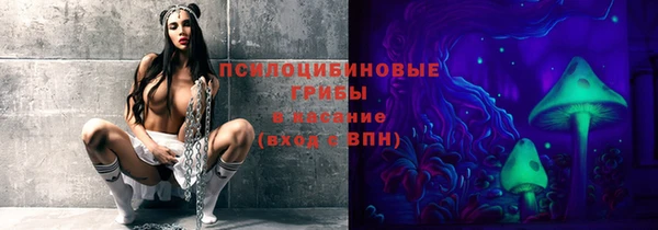 прущие крисы Арсеньев