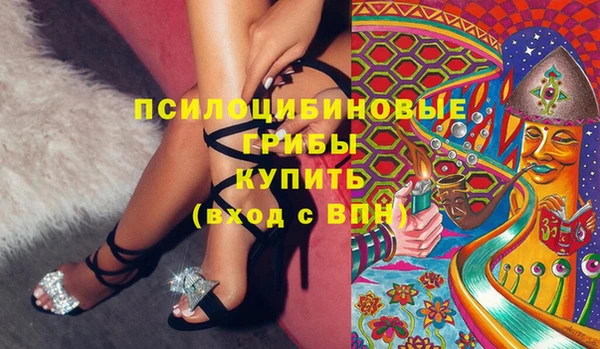 прущие крисы Арсеньев
