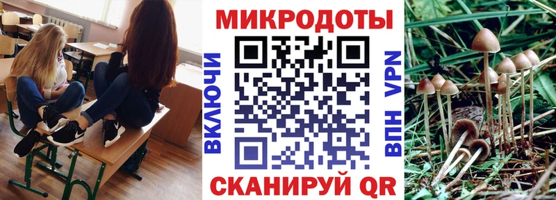 Галлюциногенные грибы GOLDEN TEACHER  Пошехонье 